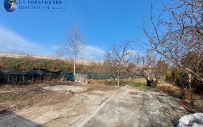 GARTENGRUNDSTÜCK MIT OBSTBÄUMEN UND WEINREBEN