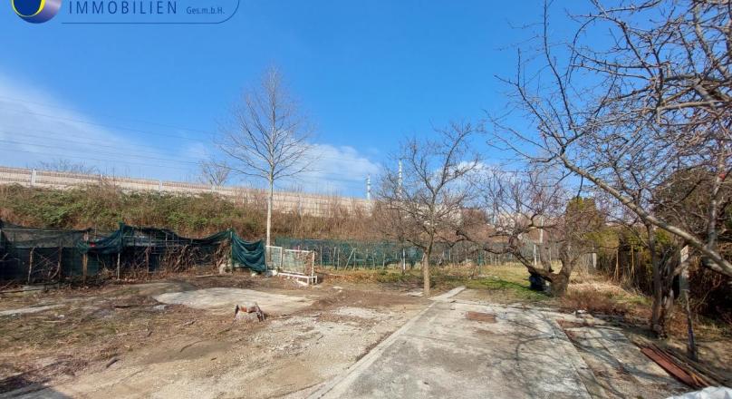 GARTENGRUNDSTÜCK MIT OBSTBÄUMEN UND WEINREBEN