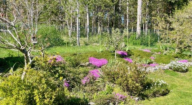 Verkauft - Gepflegtes Einfamilienhaus in absoluter Grünruhelage von Berndorf