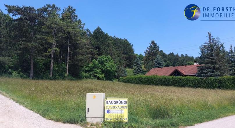 Baugrund mit 683m² in idyllischer Grünruhelage von Berndorf