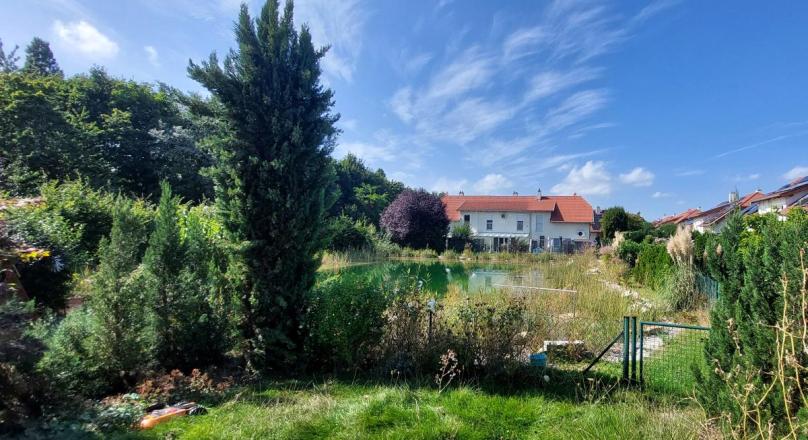 V E R K A U F T !MODERNES WOHNEN AN EINEM BADETEICH - Doppelhaushälfte mit hochwertiger Ausstattung