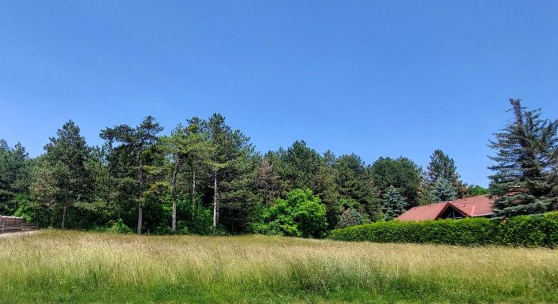 Baugrund mit 683m² in idyllischer Grünruhelage von Berndorf