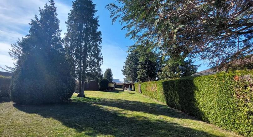 A B L Ö S E F R E I !Großer PACHTBAUGRUND MIT HOLZHAUS AM NEUFELDERSEE